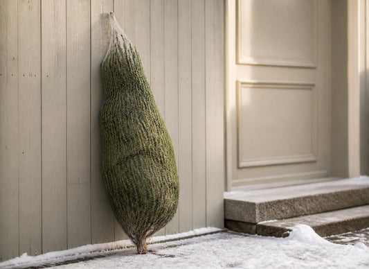 Hemleverans av julgran